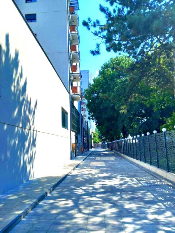Apartment Orca Jagodina